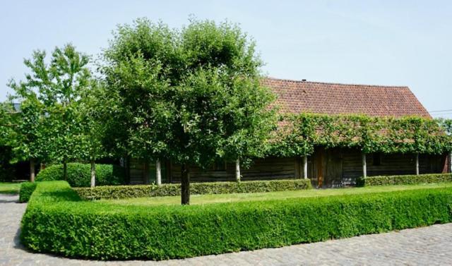 B&B De Hulst Izegem Exterior foto